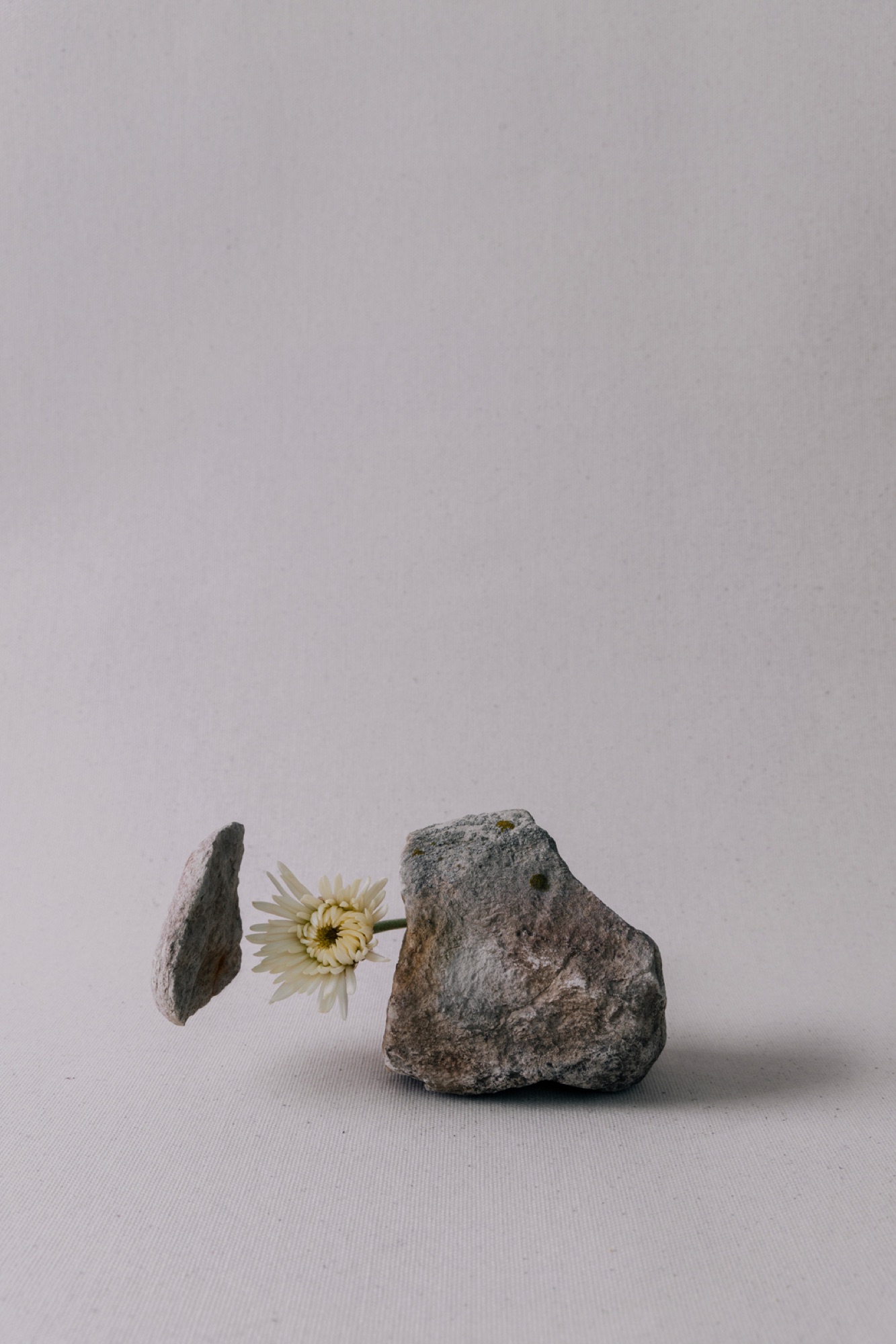 Beauty x Vulnerability