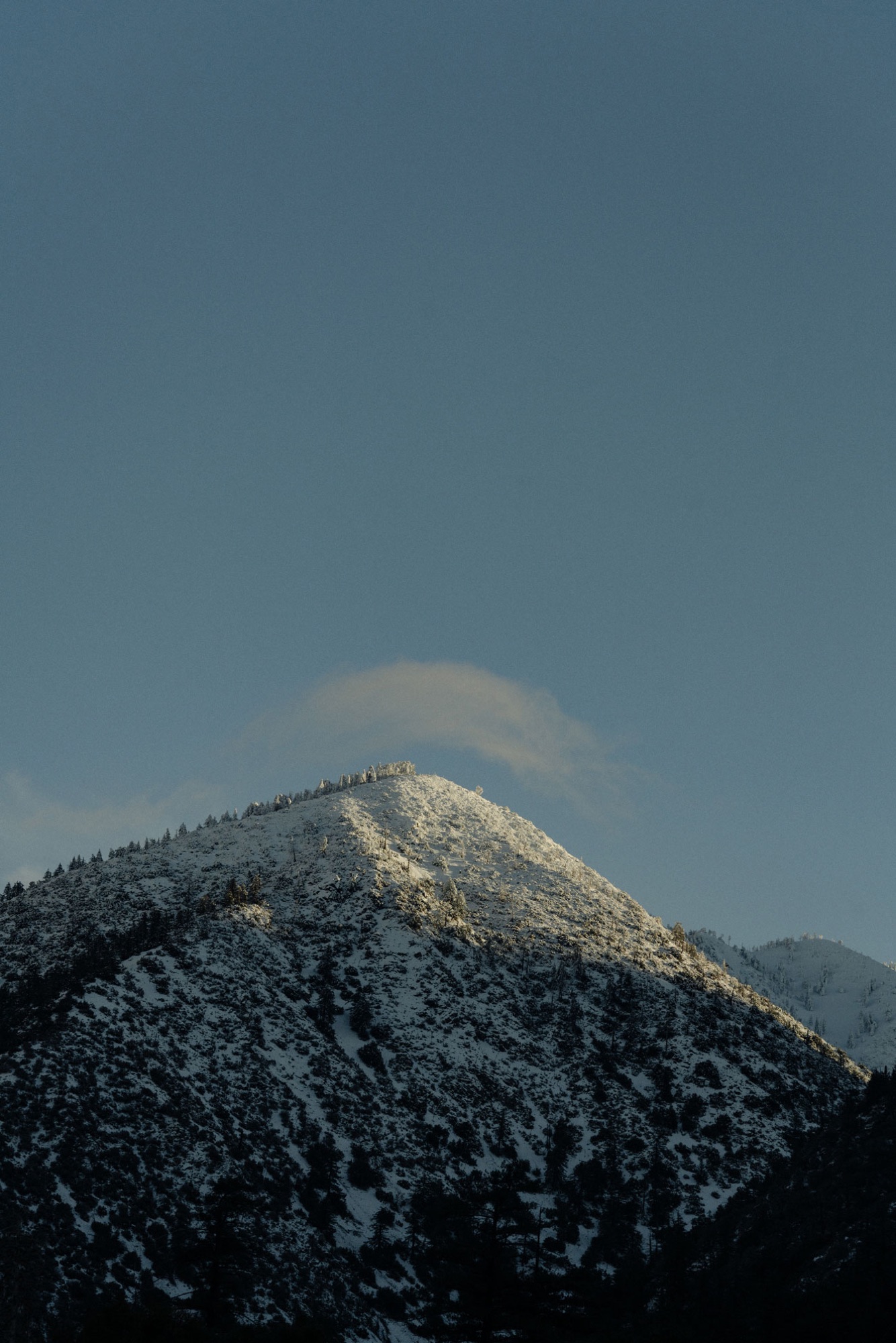 Mt. Baldy