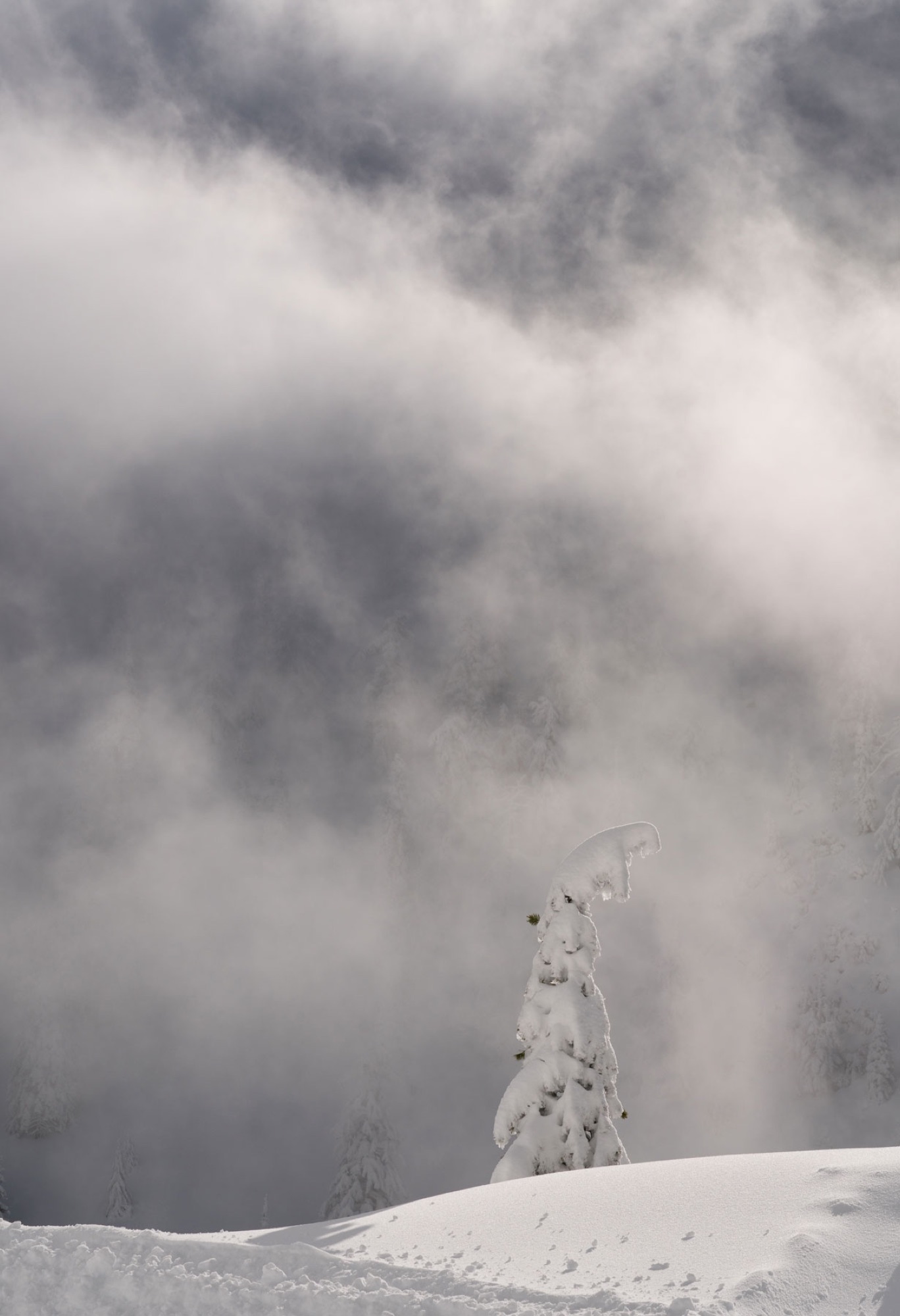 Mt. Baldy