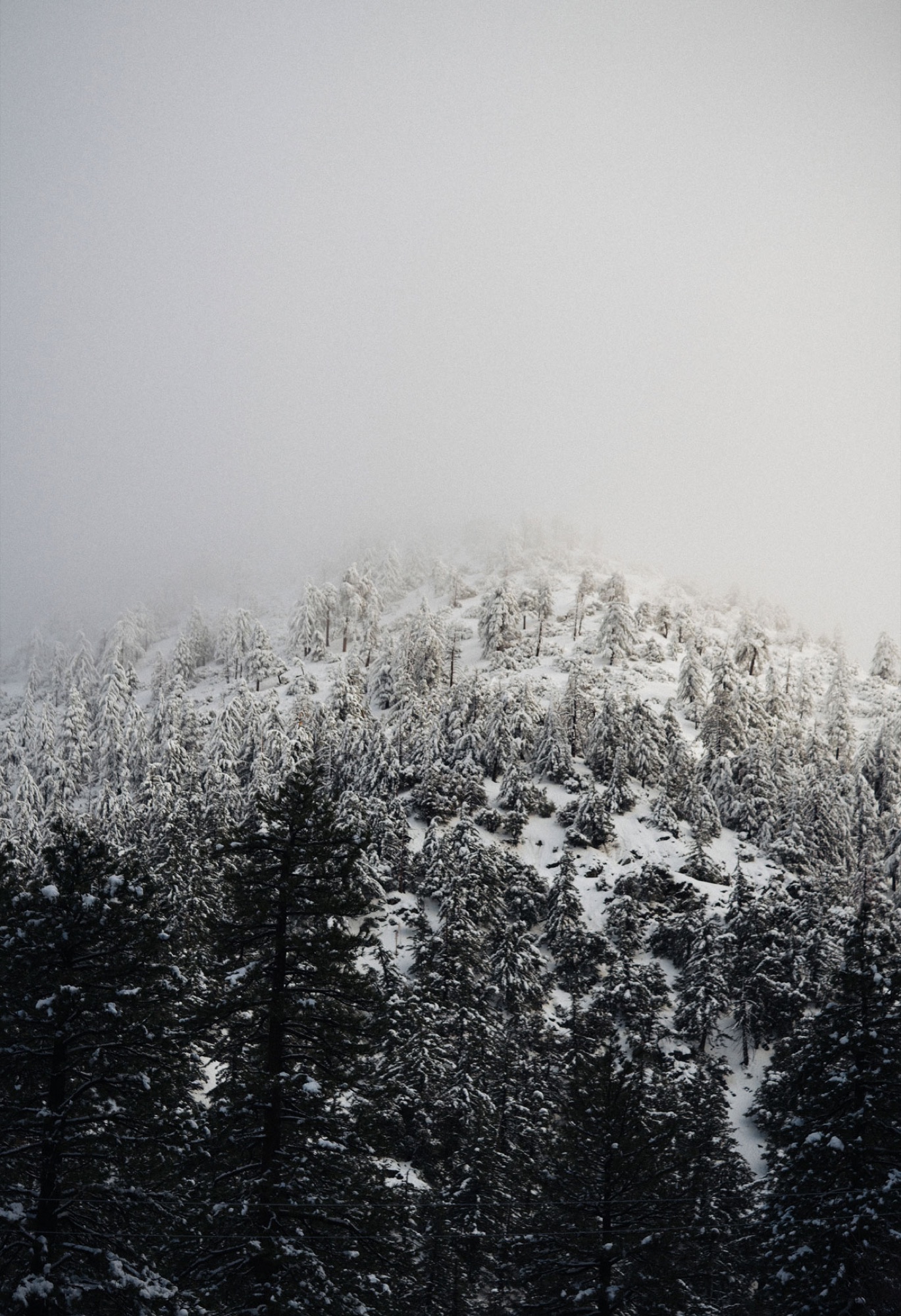 Mt. Baldy
