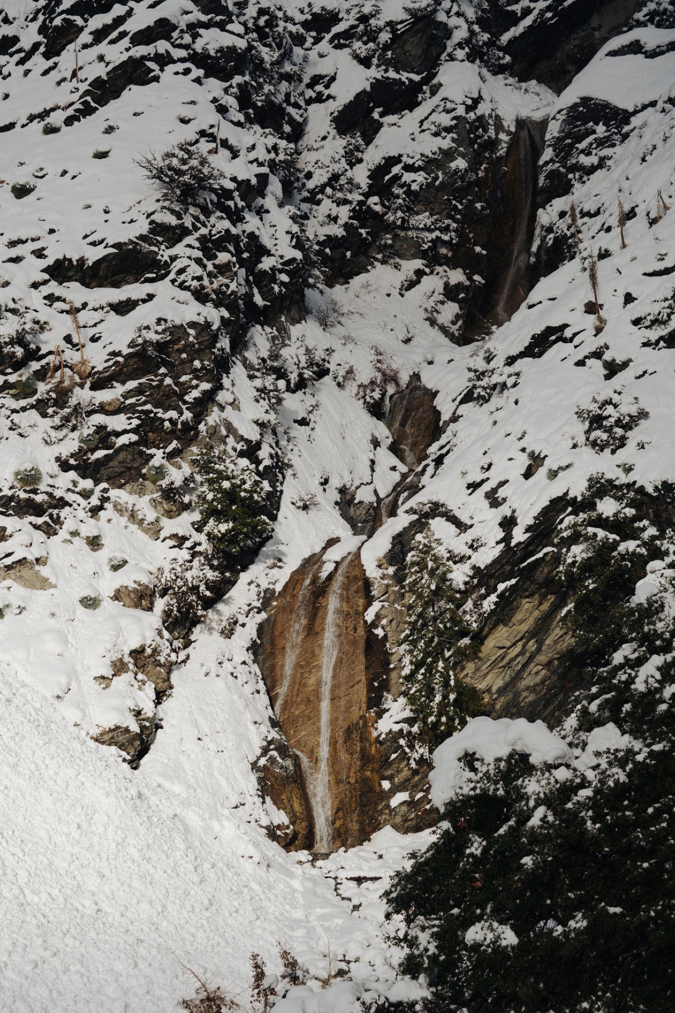Mt. Baldy